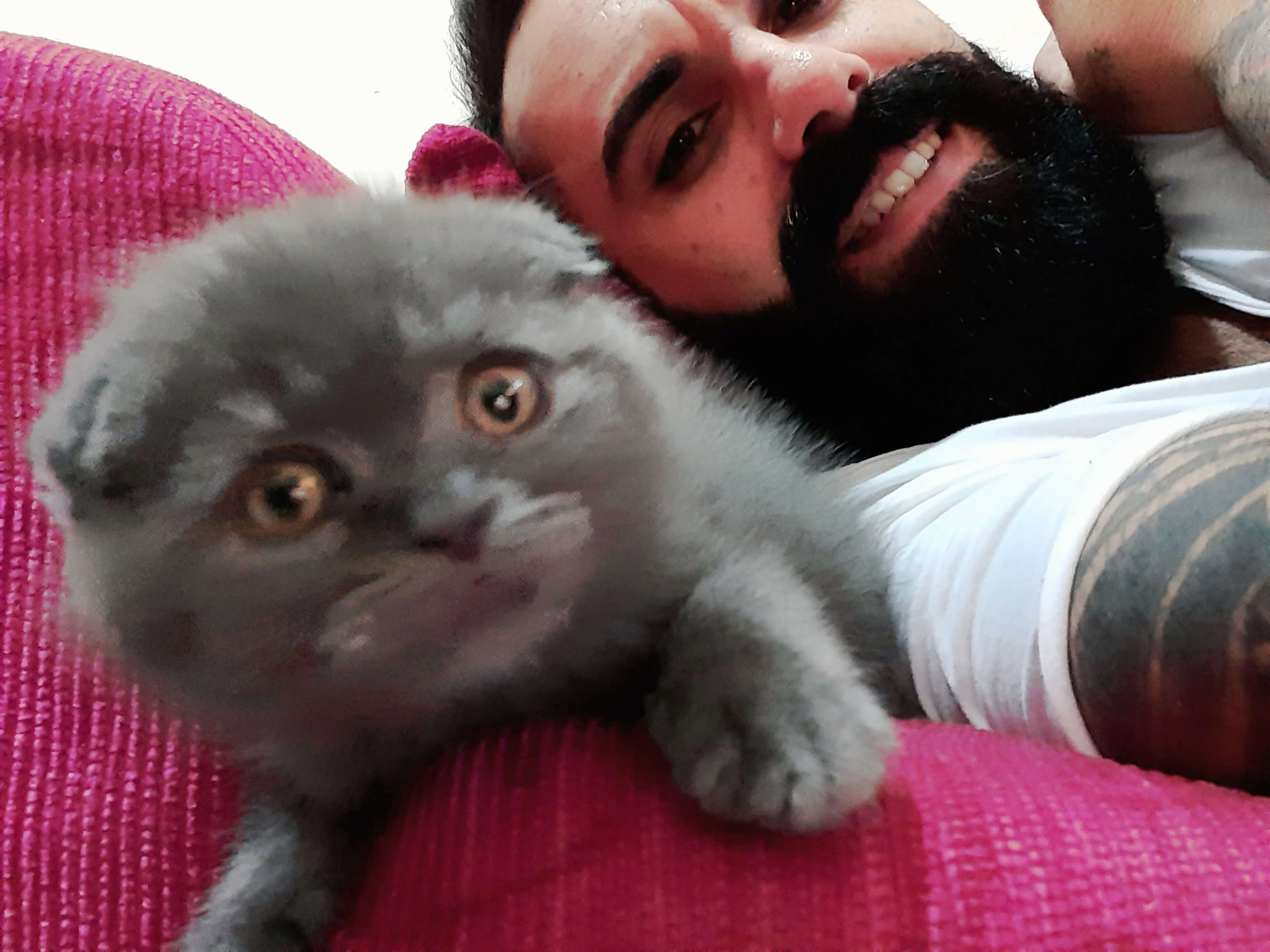 Kedim kayıp bulana ödül 