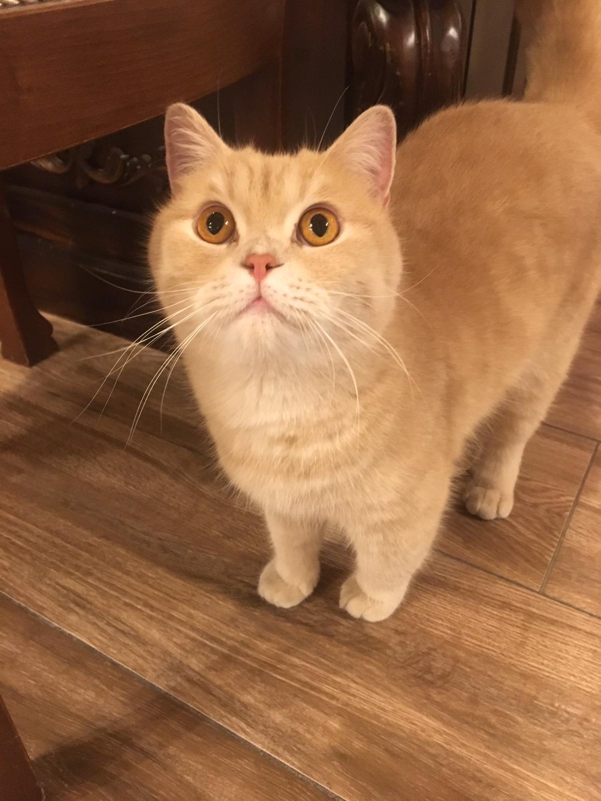 Pati