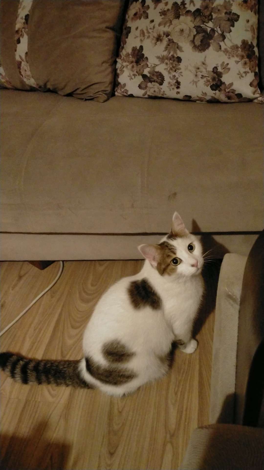 Kızım ELSA