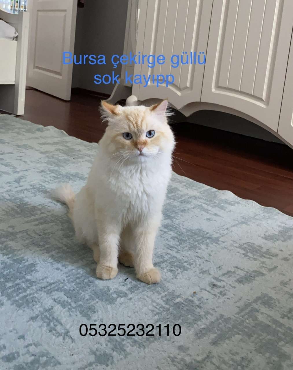 Kayıp 