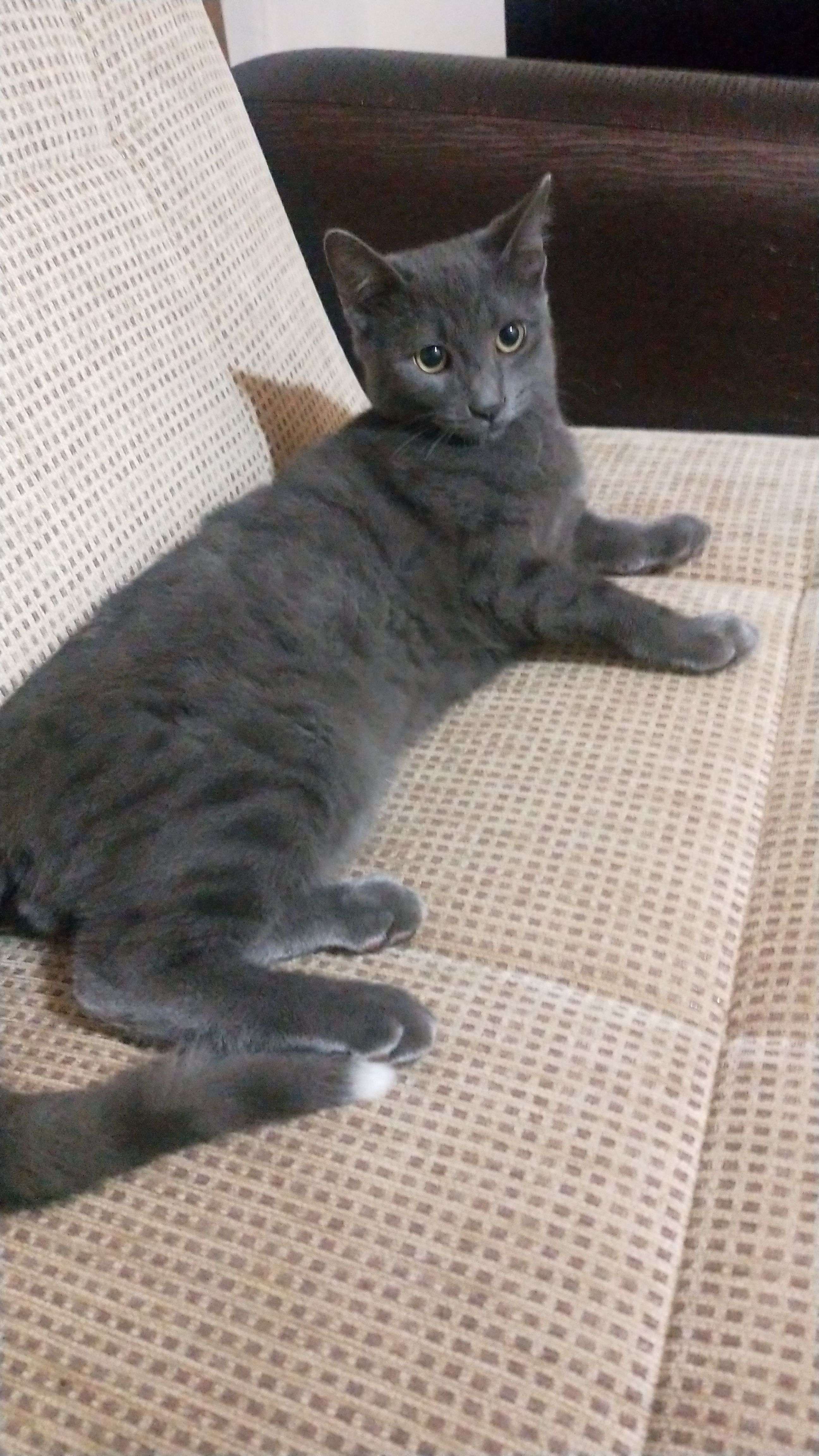 düş kayboldu