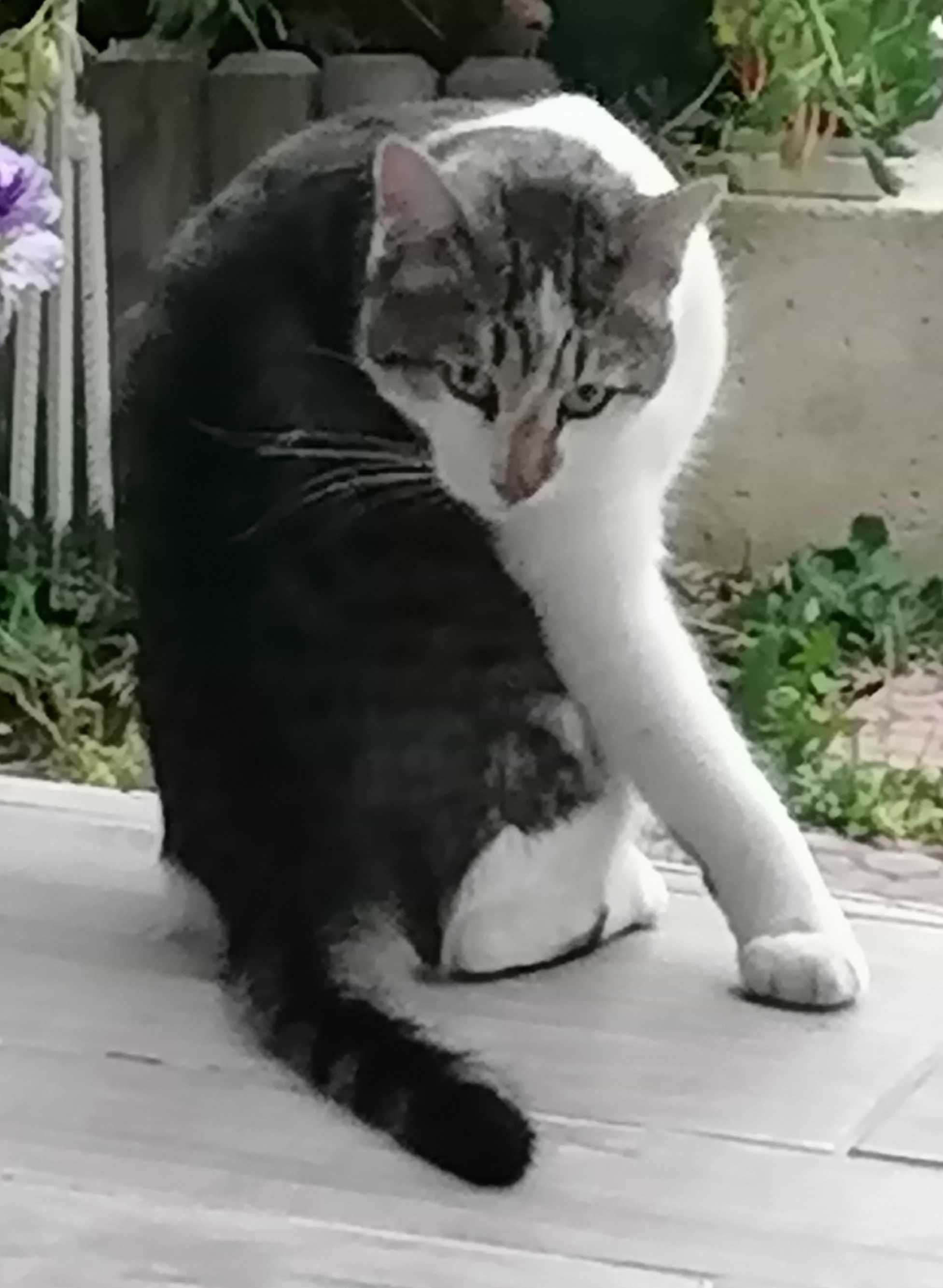AYNUR GÜNALÇİN 