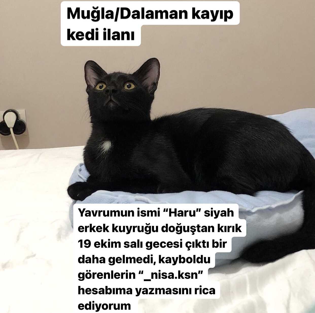 Nisa Keskin