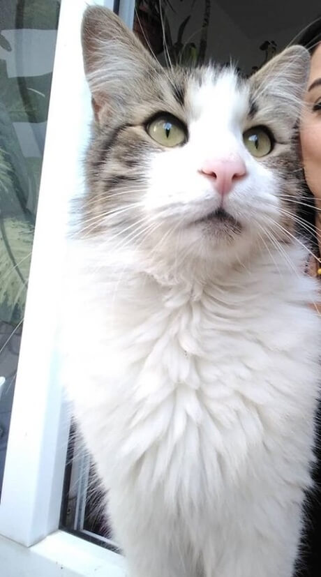 Kübra