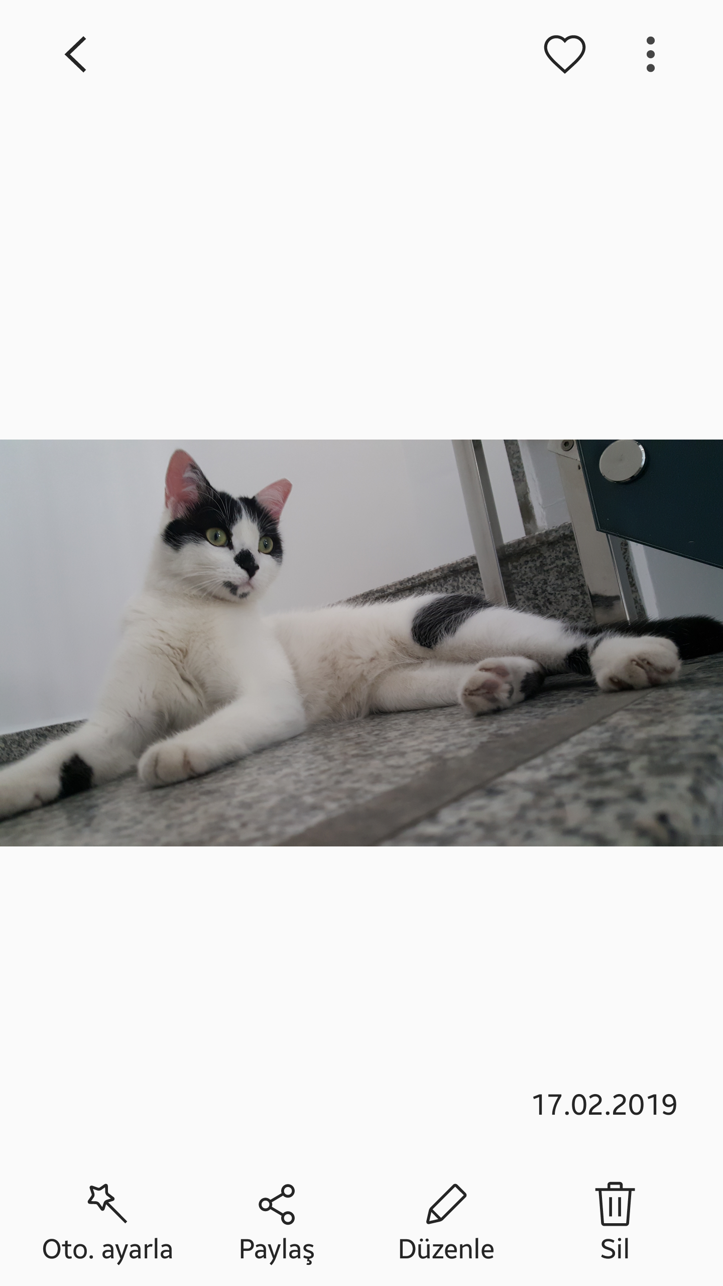 BUSE