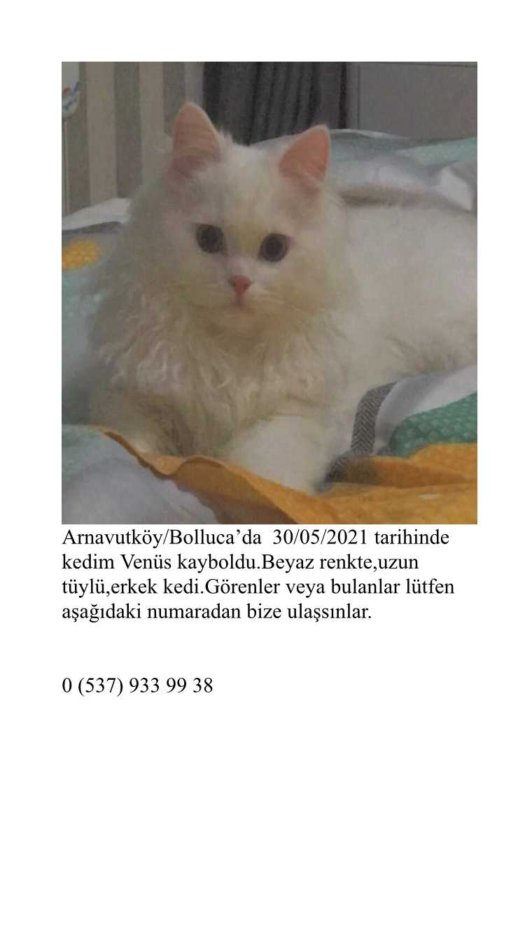 Berra Söylemez