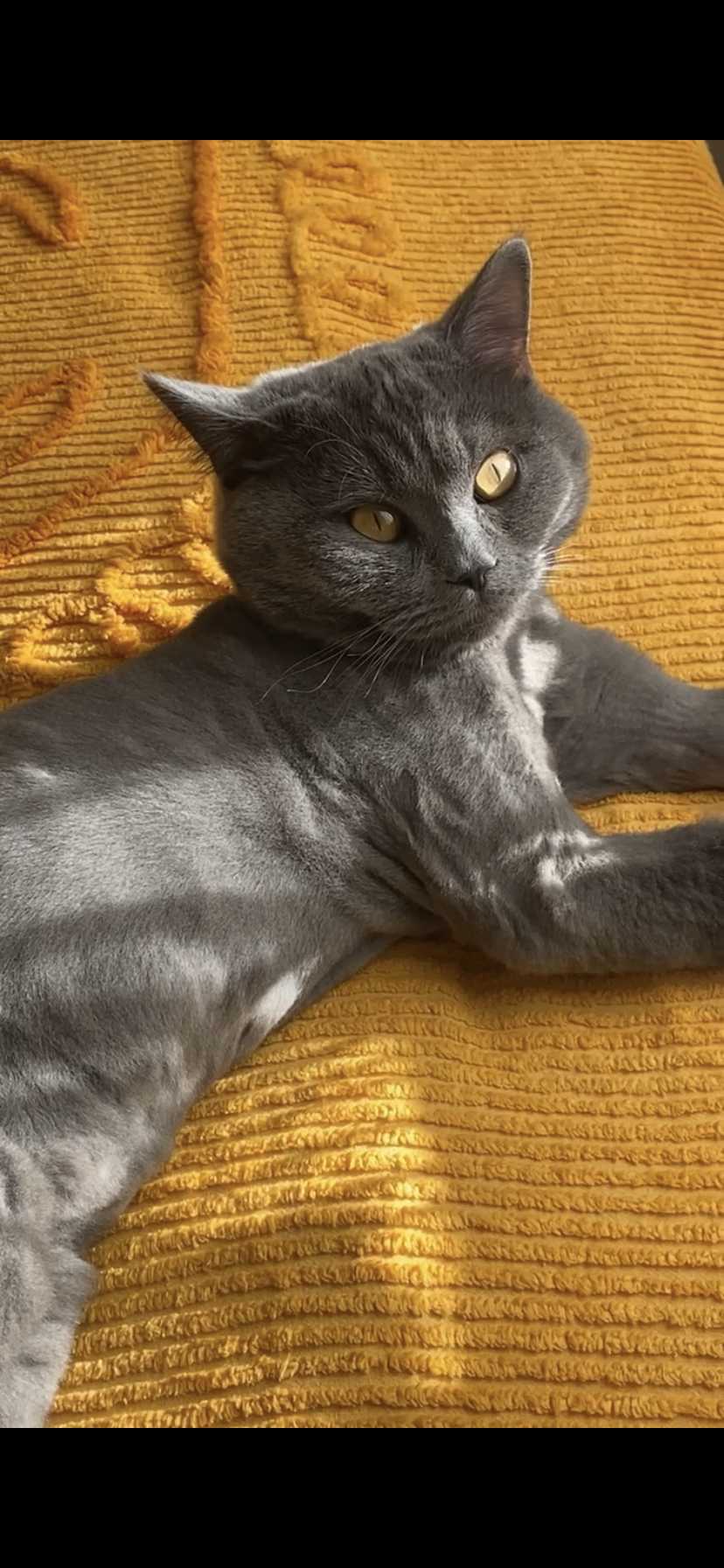 Melike Delibalta