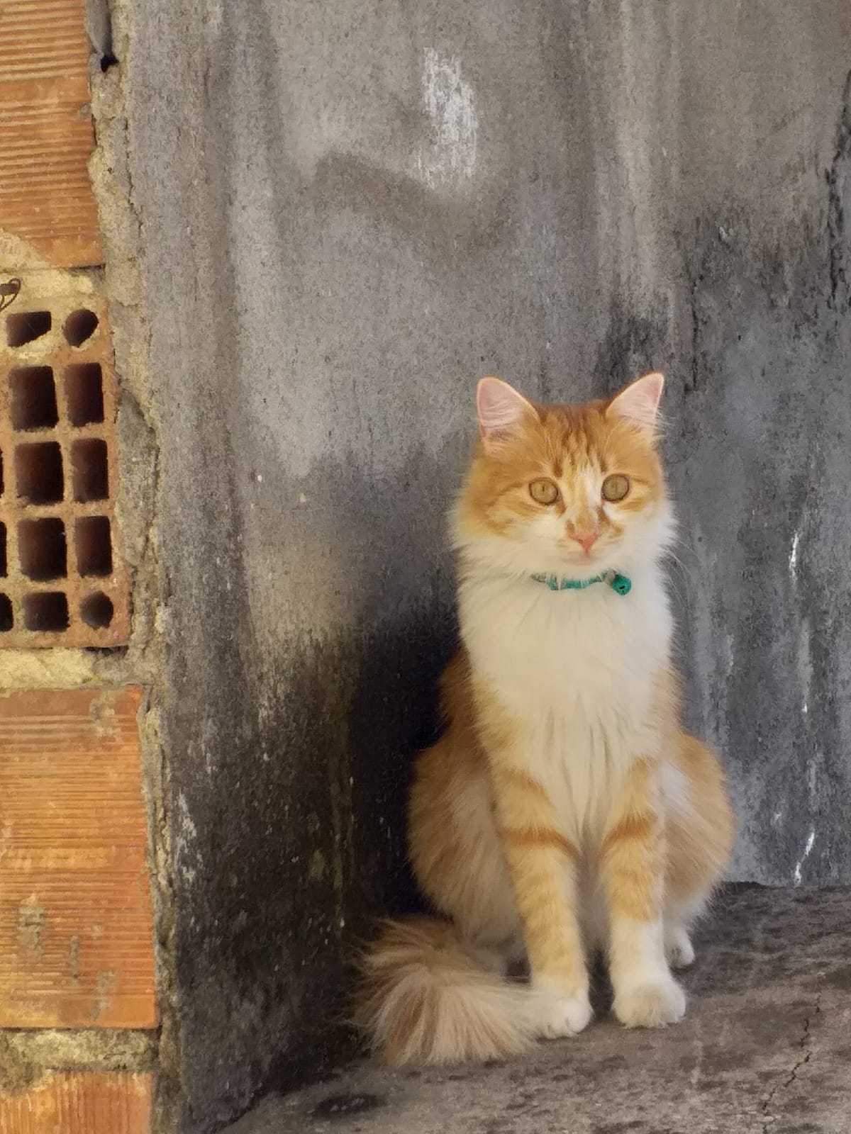 Yağmur gelip 