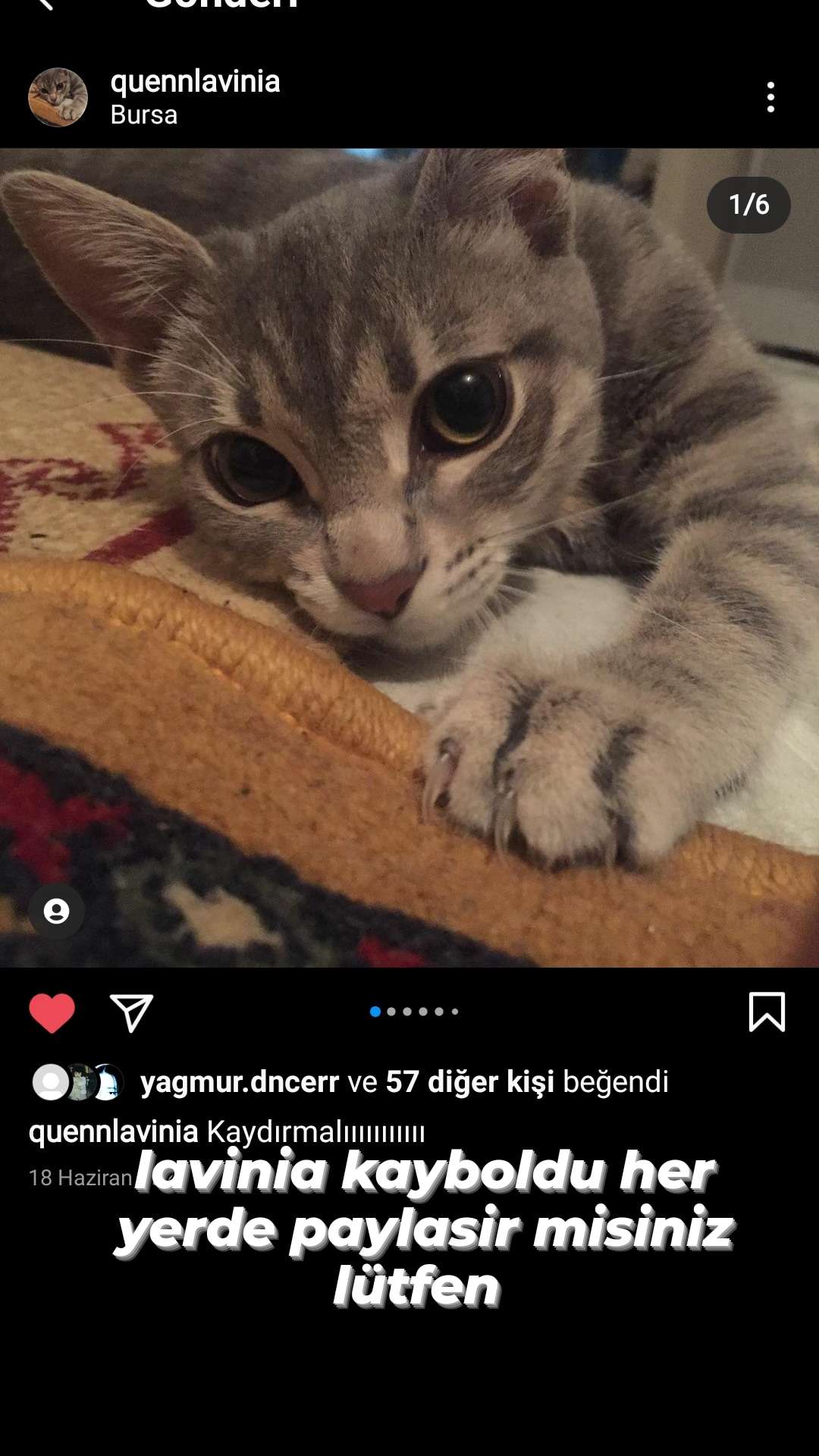 bursa hamitler 