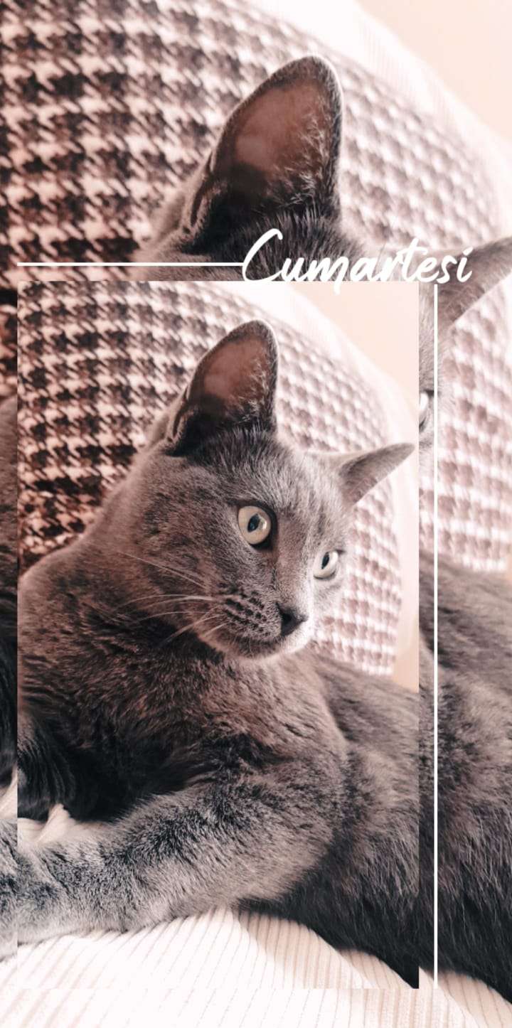 LÜTFEN GÖREN DUYAN ULAŞSIN !