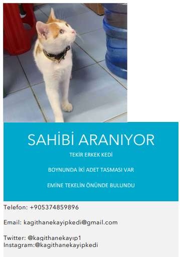 sahibini arıyorum