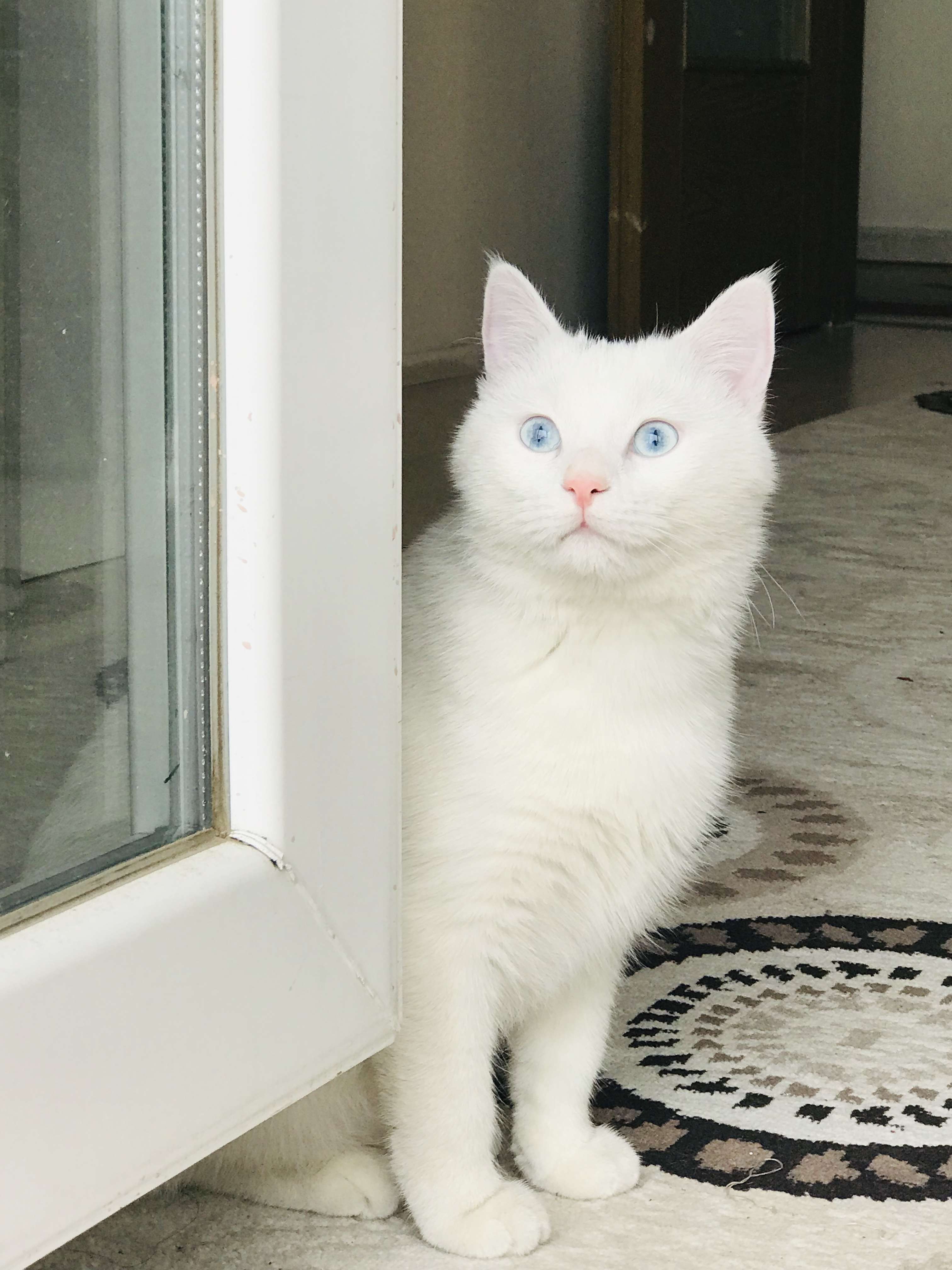 Oğlum Depremde Kayboldu