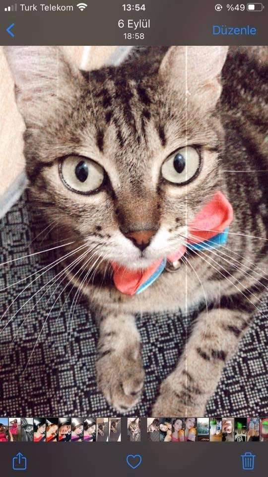 Kayıp