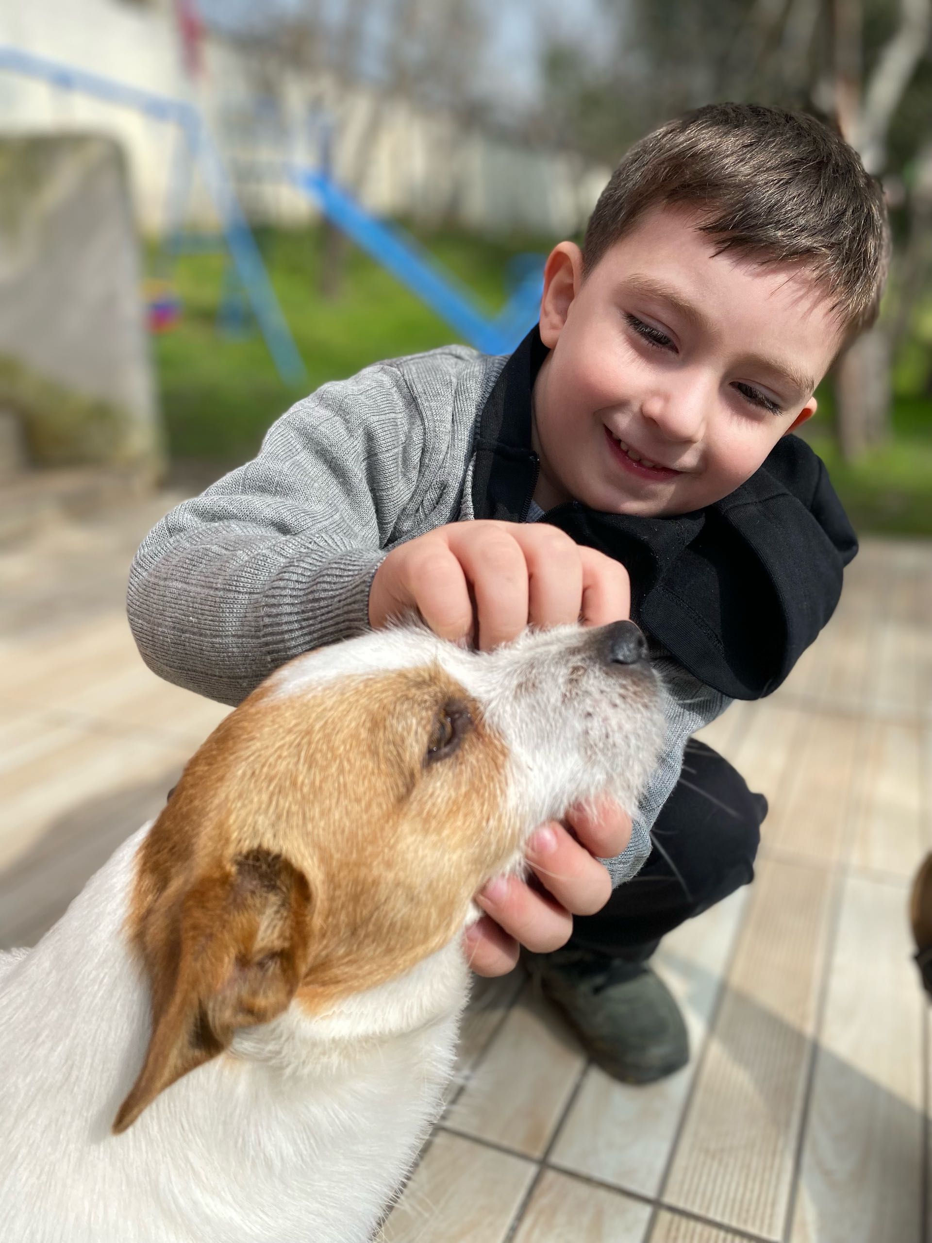 köpeğimiz kayıp